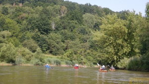 Werra Zusammenfassung (279).jpg