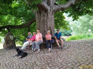 Werra Zusammenfassung (359).jpg