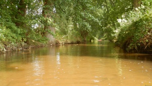 Sonntagspaddeln 2021-09-19 079.JPG