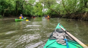 In_den_Morgen_2022 22.jpg