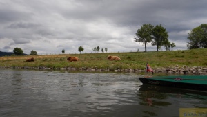 Weser 2022 24.jpg