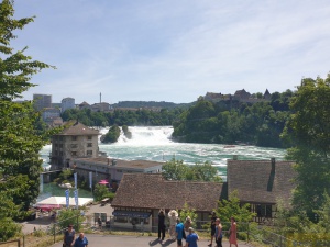Hochrhein_2022 006.jpg