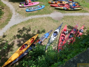 Hochrhein_2022 016.jpg