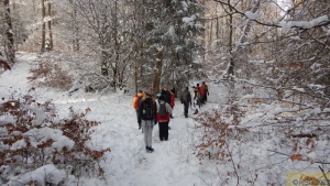 Winterwanderung 25.jpg
