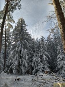 Winterwanderung 27.jpg