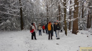 Winterwanderung 31.jpg