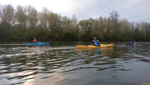 In_den_Morgen_Paddeln 18.jpg