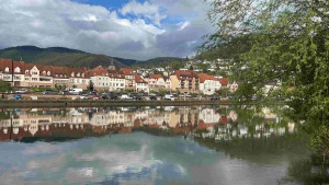 Unterer-Neckar007.jpg