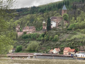 Unterer-Neckar046.jpg