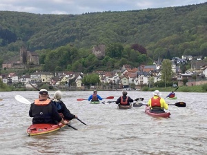 Unterer-Neckar055.jpg