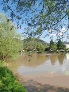 Unterer-Neckar063.jpg
