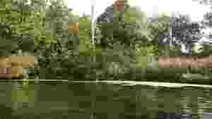 Groschenwasser006.jpg