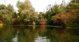 Groschenwasser008.jpg