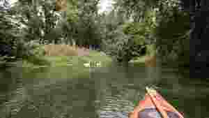 Groschenwasser010.jpg