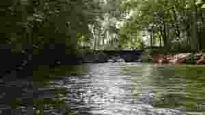Groschenwasser016.jpg