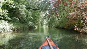 Groschenwasser_2023 013.jpg