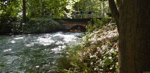 Groschenwasser_2023 040.jpg