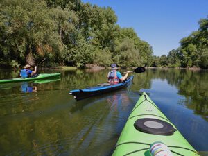 Imagebilder Mai 02.jpg