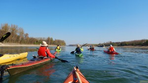 Rhein 2022 03.jpg