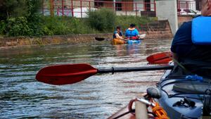Krummer Rhein 12.jpg