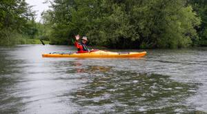 Ottenheimer Mühlbach 30.jpg