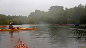 Ottenheimer Mühlbach 32.jpg