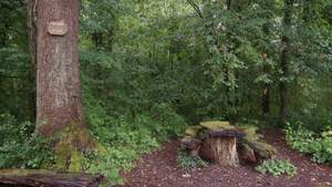 Ottenheimer Mühlbach 45.jpg