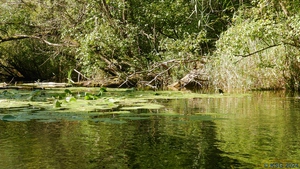 Groschenwasser 27.jpg