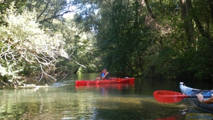 Groschenwasser 35.jpg