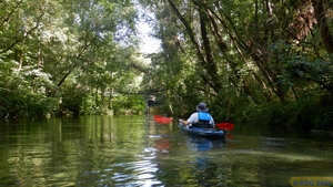 Groschenwasser 38.jpg