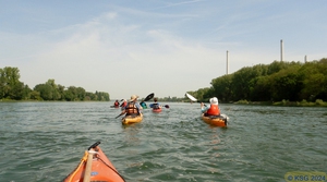 Mittwochspaddeln 031.jpg