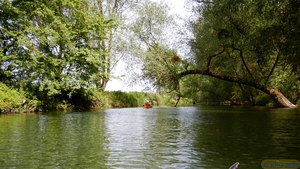 Mittwochspaddeln 040.jpg