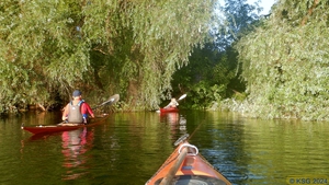Mittwochspaddeln 082.jpg
