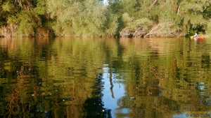 Mittwochspaddeln 089.jpg