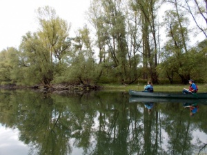 In-den-Tag-Paddeln-2015-26-H.jpg