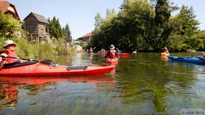 Rhinau 028.jpg