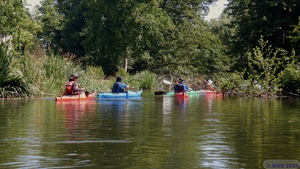 Rhinau 042.jpg