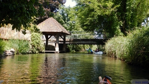 Rhinau 068.jpg