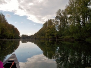 In-den-Tag-Paddeln-2015-30-H.jpg