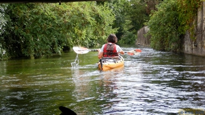 Krummer Rhein07.jpg