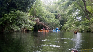 Krummer Rhein20.jpg