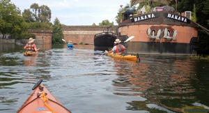 Krummer Rhein45.jpg