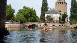 Krummer Rhein49.jpg
