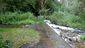 Ottenheimer Mühlbach21.jpg