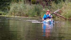 Ottenheimer Mühlbach41.jpg