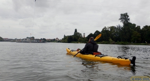 Unterer Neckar07.jpg