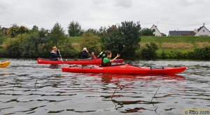 Unterer Neckar15.jpg