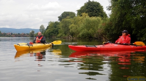 Unterer Neckar25.jpg
