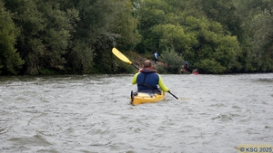 Unterer Neckar36.jpg