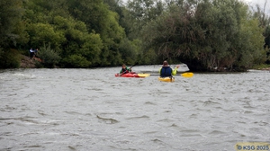 Unterer Neckar38.jpg